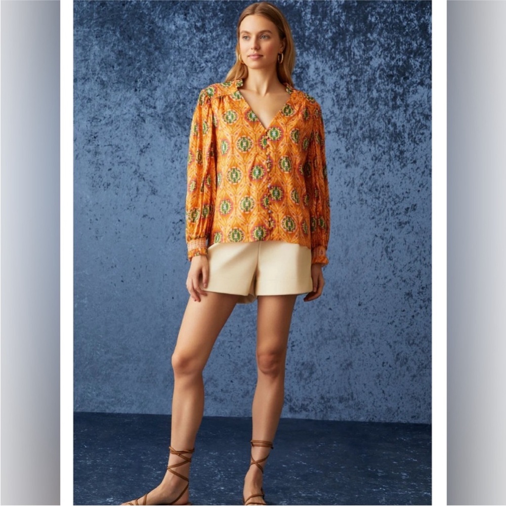 Marie Oliver Imogene Ikat style blouse.